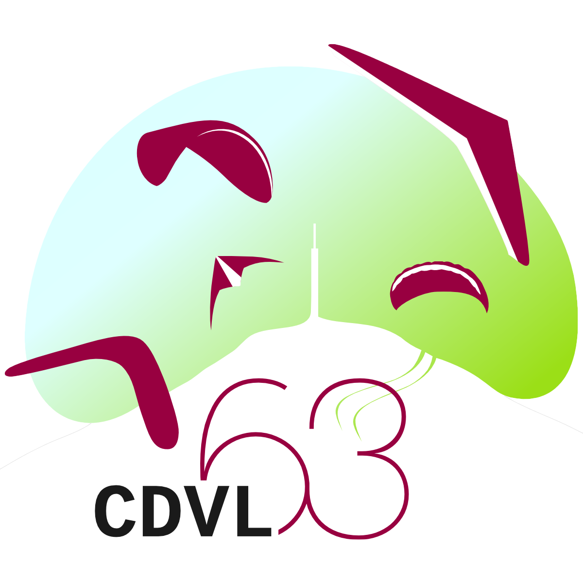 CDVL 63